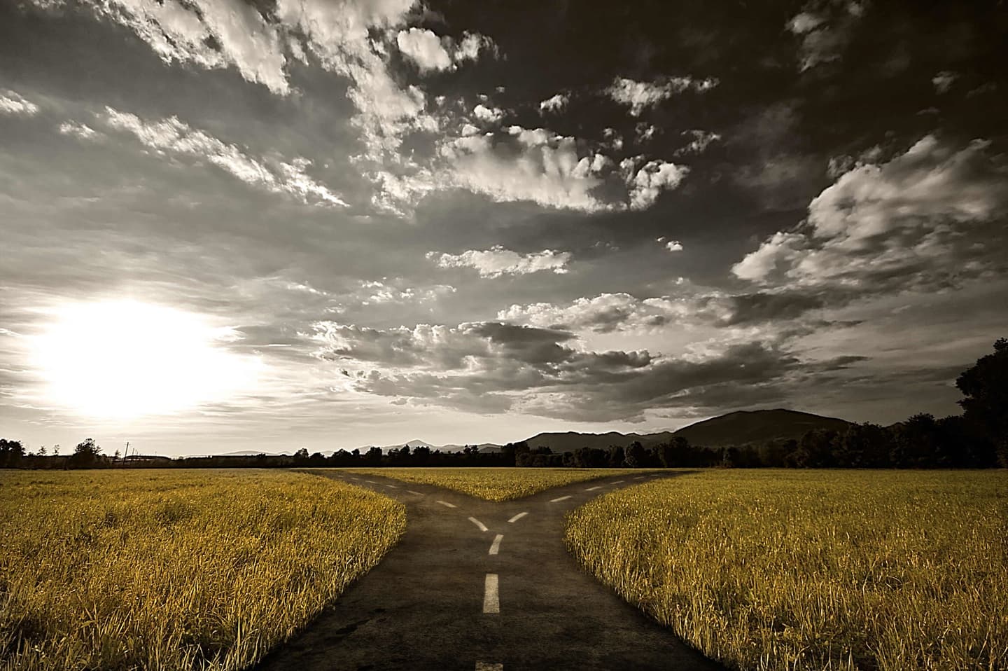 A forked road divides through golden wheat fields under dramatic cloudy sky with setting sun and distant mountains.