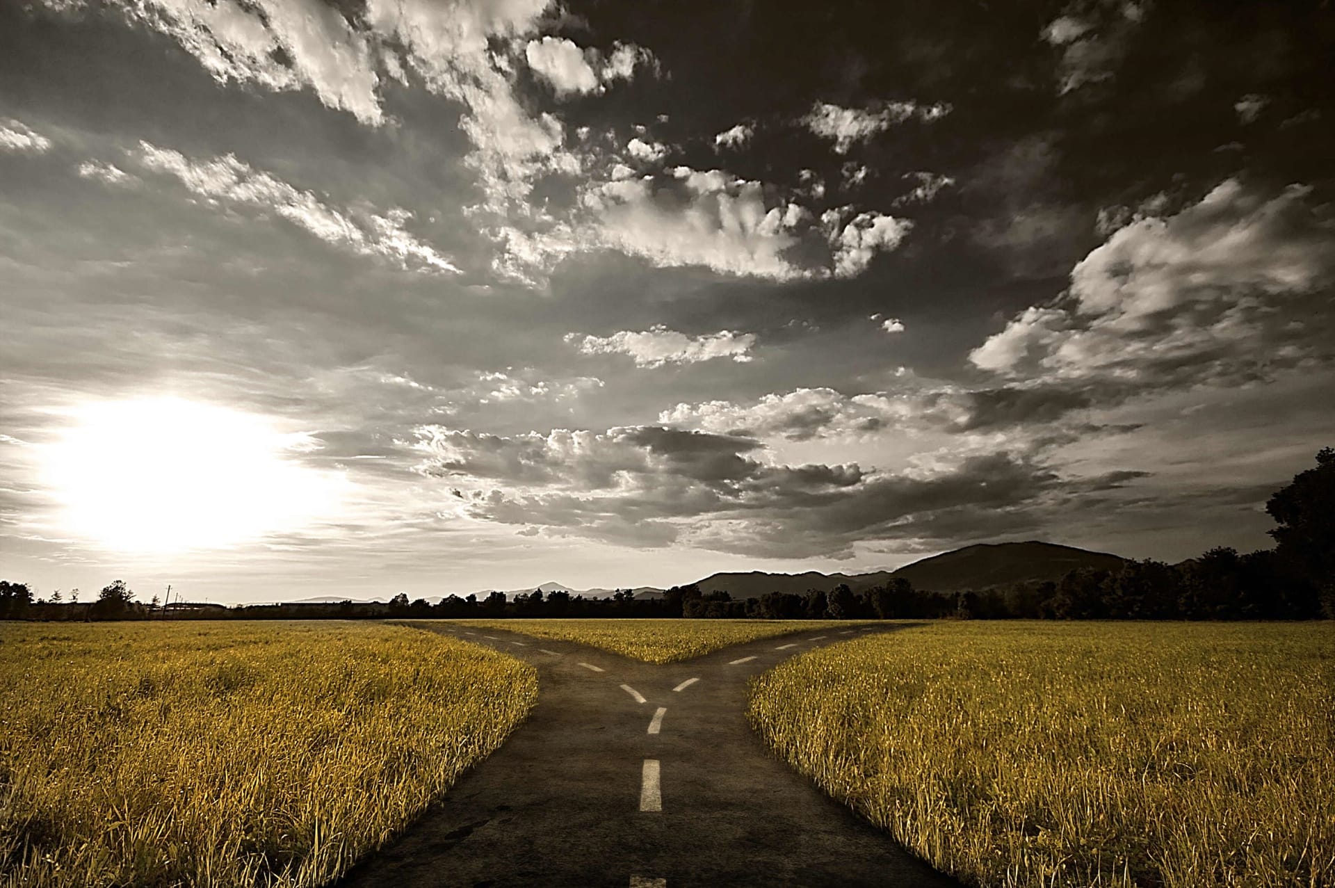 A forked road divides through golden wheat fields under dramatic cloudy sky with setting sun and distant mountains.